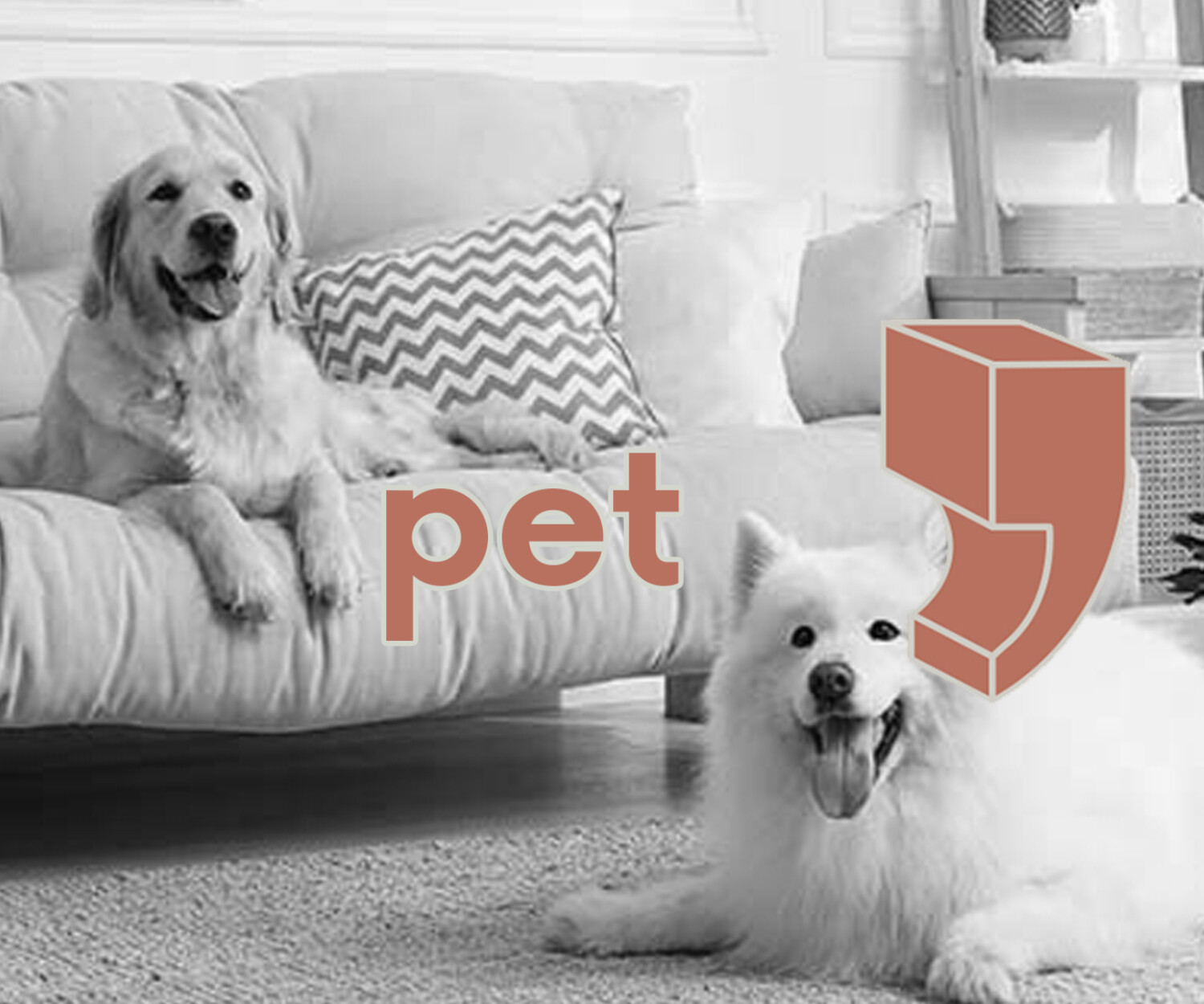 evcil hayvan dostu ic mekan tasarımı